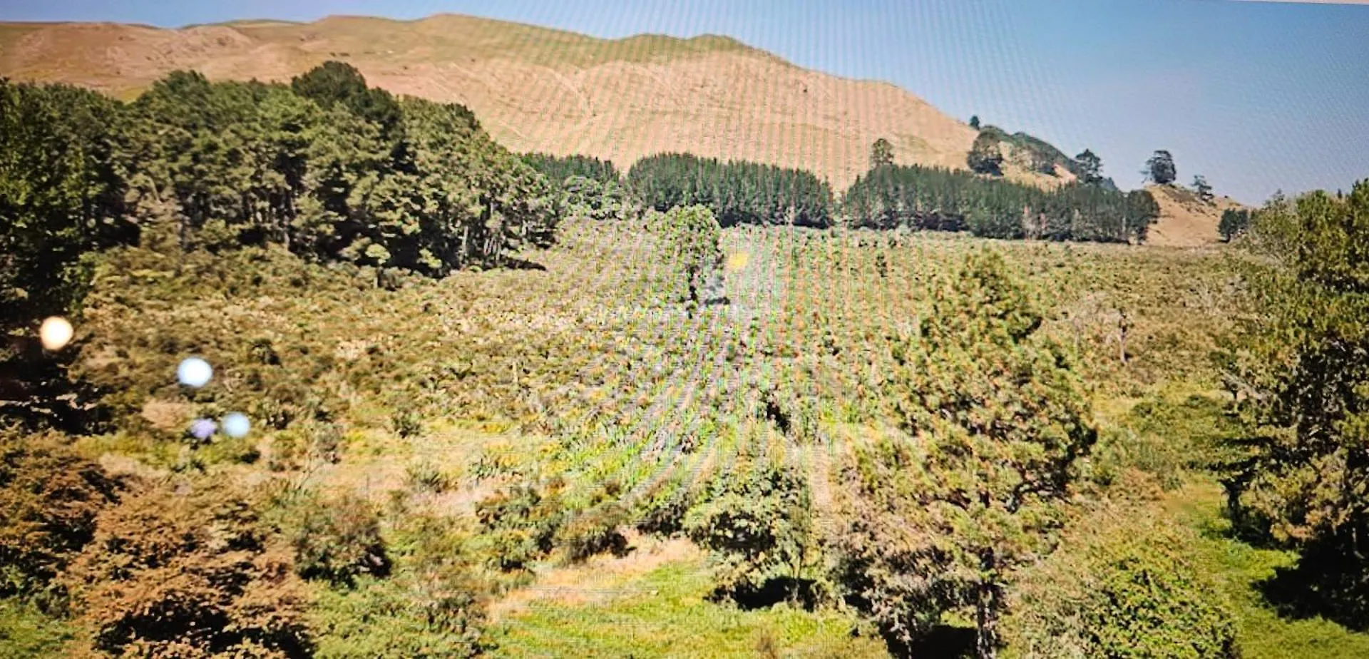 הוילה רוטורואה Rough Meadows - Mtb Haven & Good Vibes Retreat