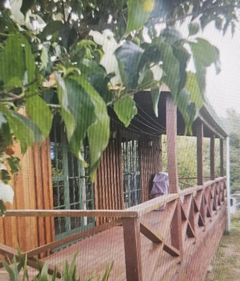 בית נופש הוילה רוטורואה Rough Meadows - Mtb Haven & Good Vibes Retreat ניו זילנד
