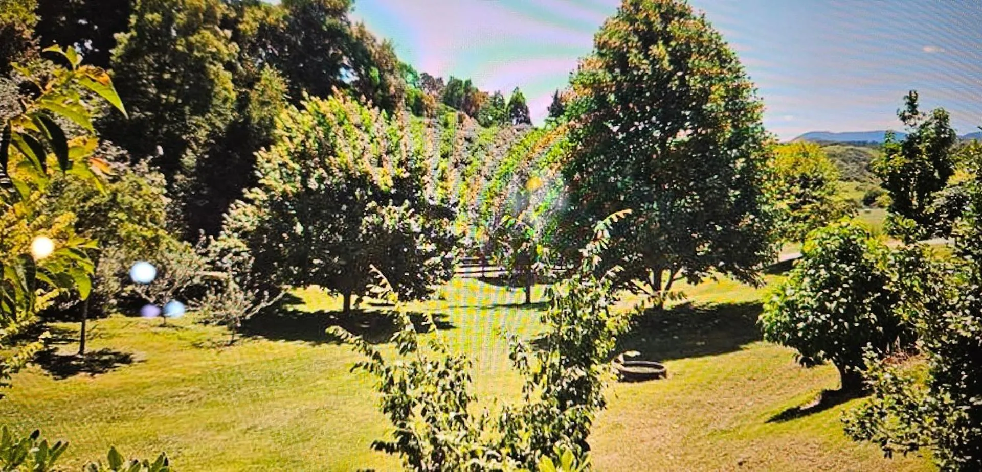Rough Meadows - Mtb Haven & Good Vibes Retreat Βίλα Ροτόρυα